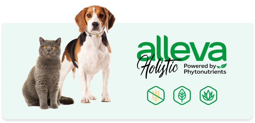 Alleva Holistic