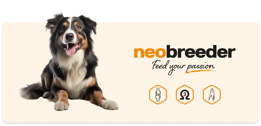 Alleva Neobreeder