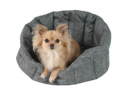 Pelech Casper Elegance