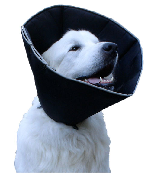 Ochranný golier pre psov