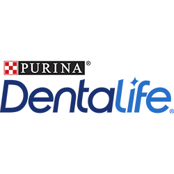 Dentalife​​​​​​​