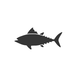 Rybacie