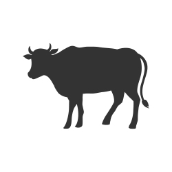 Hovädzie