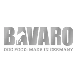 Bavaro