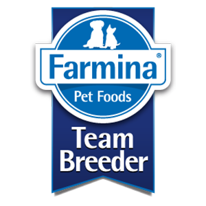 Team Breeder