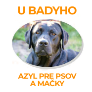 Azyl pre psov a mačky u Badyho