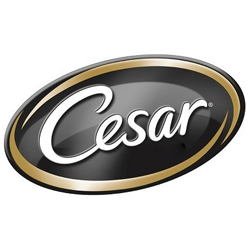 Cesar