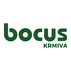 Bocus