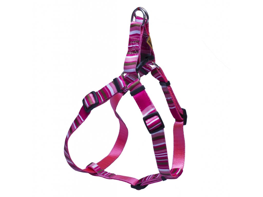 BAFPET Popruhový postroj PRÚŽKY Farba: Ružová, Veľkosť: 10mm x OH 26-38cm 18411PS