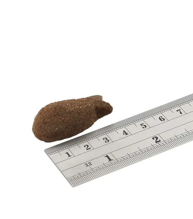 FISH4DOGS Pamlsky pre psov na podporu zdravia kĺbov s lososovými kúskami 225g
