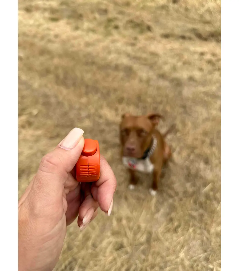 Kliker Clicino® Lime Green