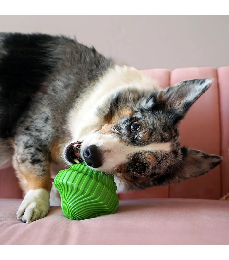 Hračka Kong Dog Squeezz Orbitz Spin Top lopta, styrén M/L  (3ks/bal.)