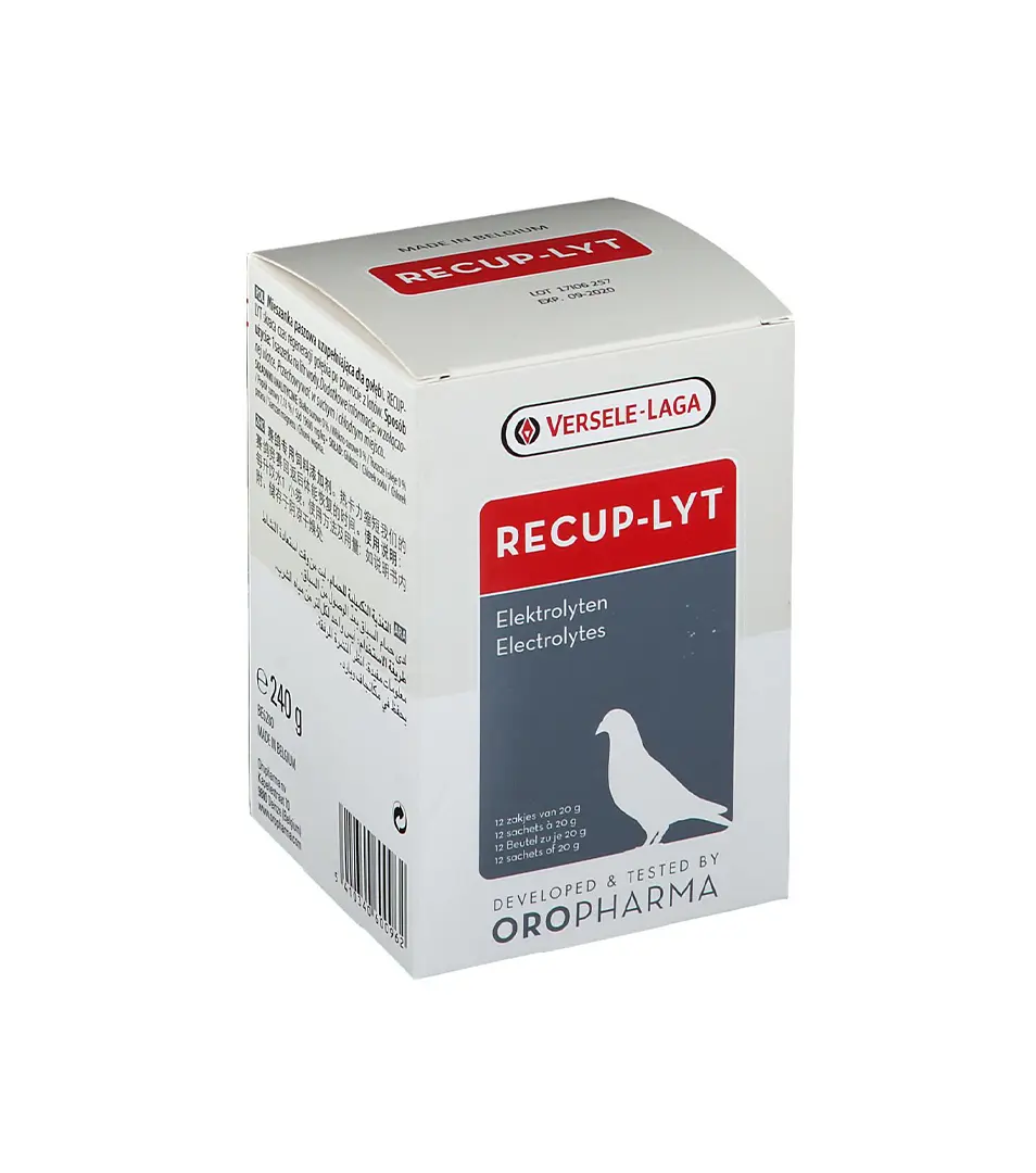 VL Holuby Recup-Lyt 240g - elektrolyty