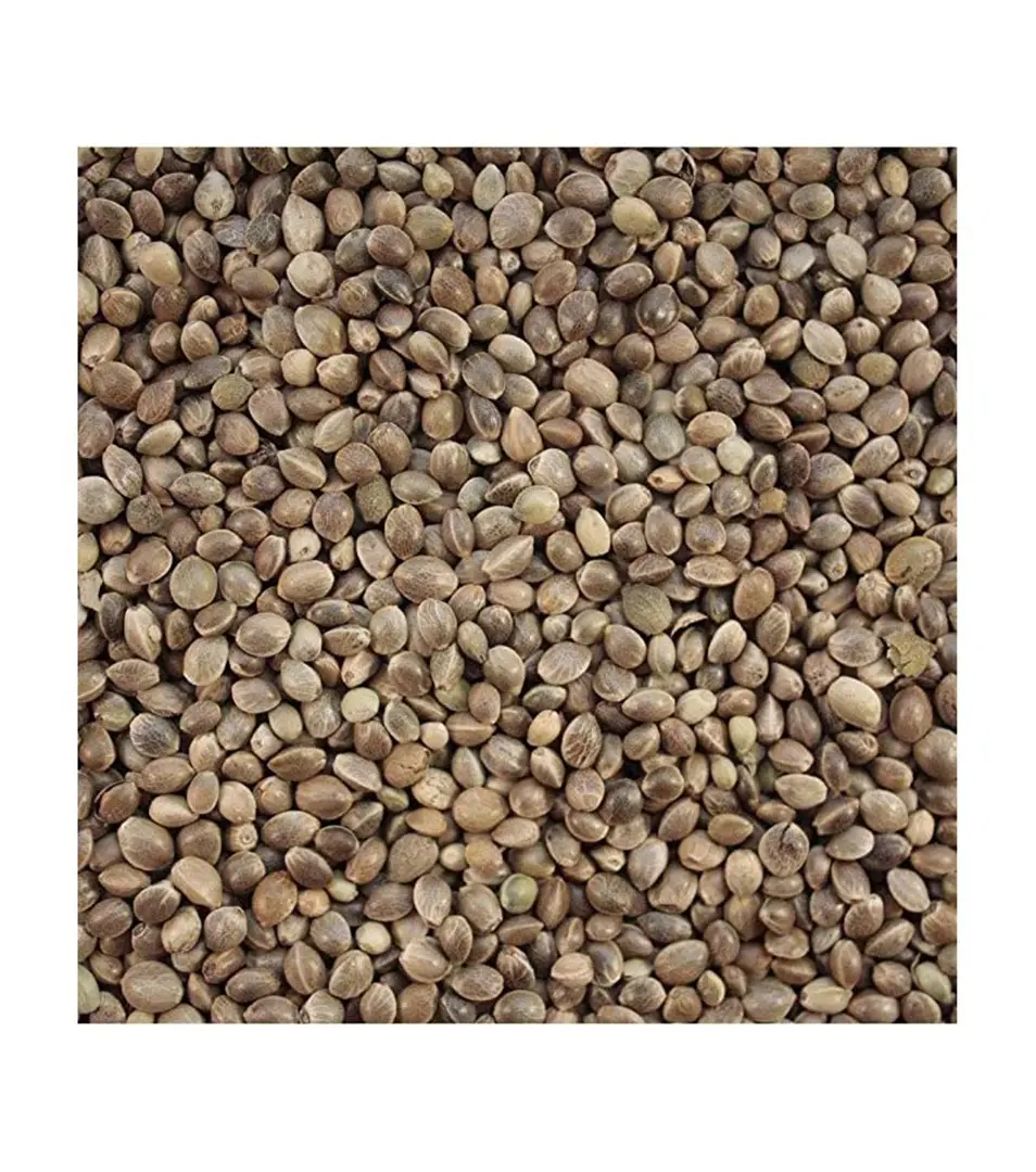 VL Holuby Semenec 20 kg