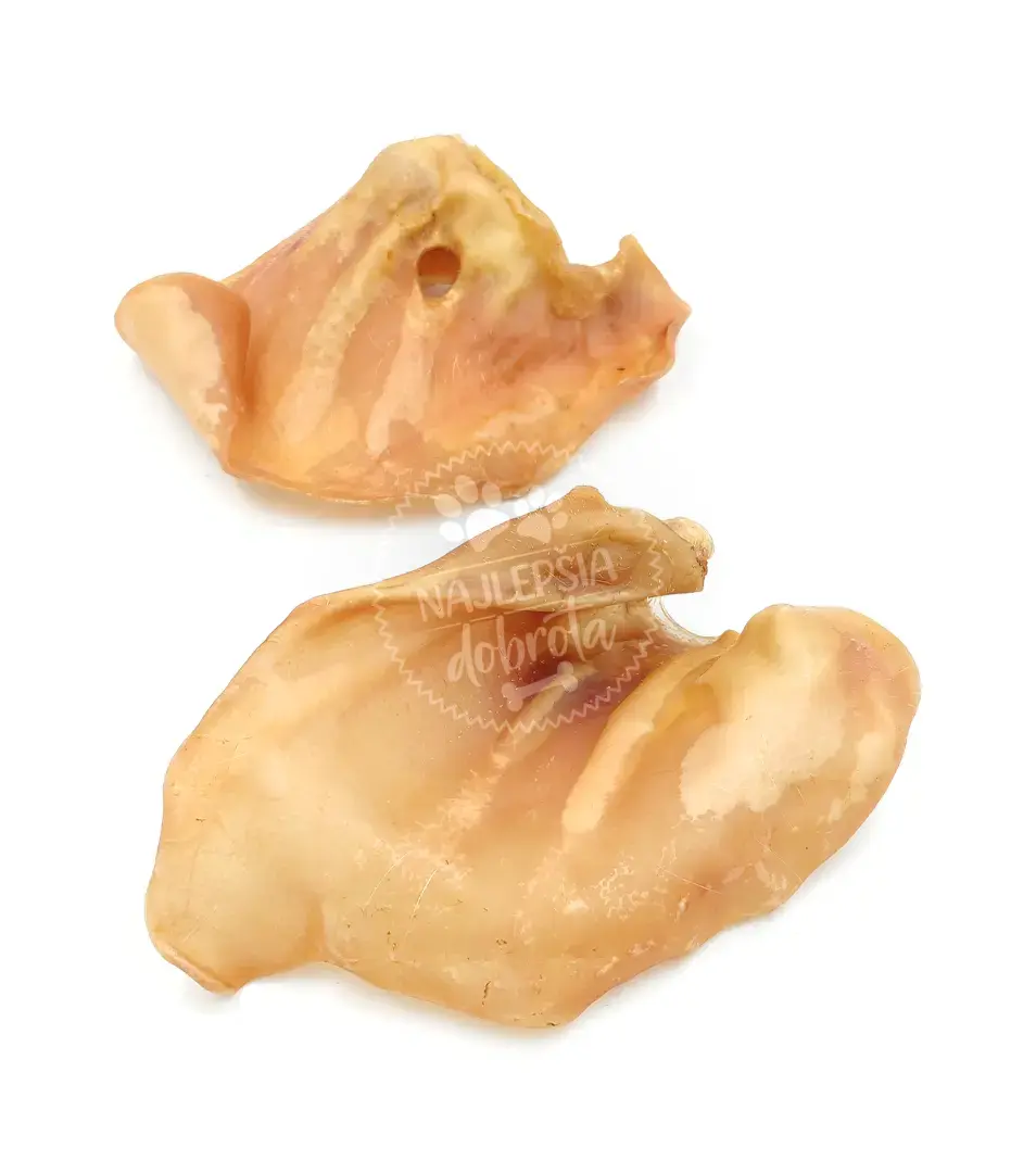 Bravčové ucho 1 ks