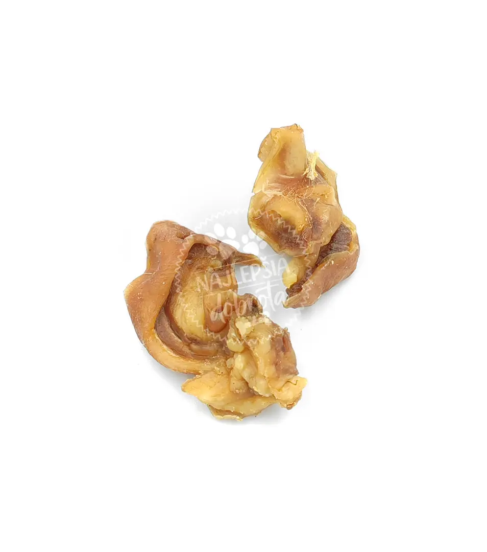 Bravčové ušnice 200 g