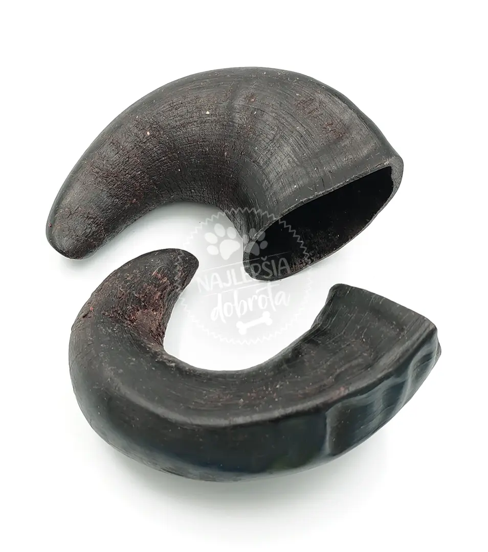 Byvolí paroh M 1 ks