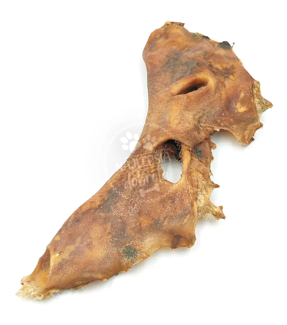 Hovädzí rypák/ mulec XXL 1 ks