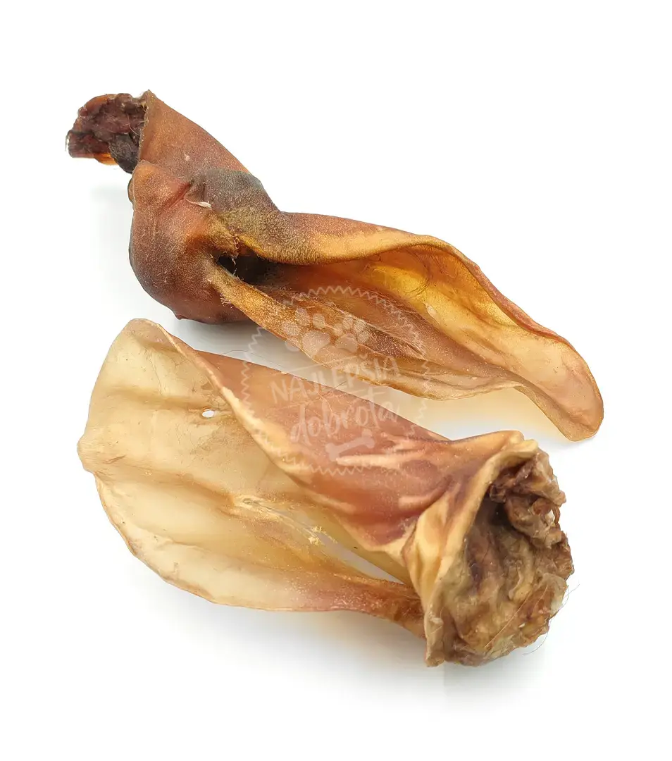 Hovädzie ucho so záuškom XXL 1 ks