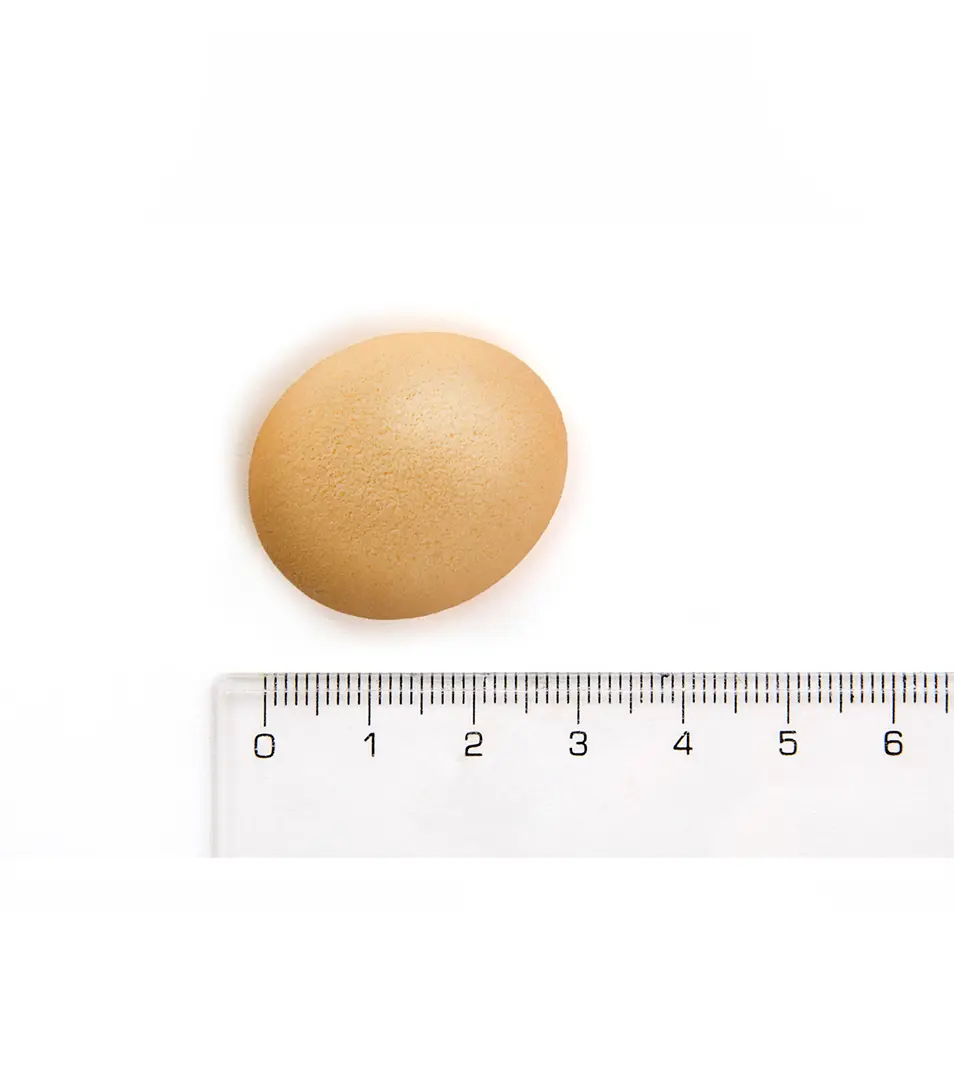 JK piškóty s 33 % vajec, 250 g, pečená maškrta pre psov