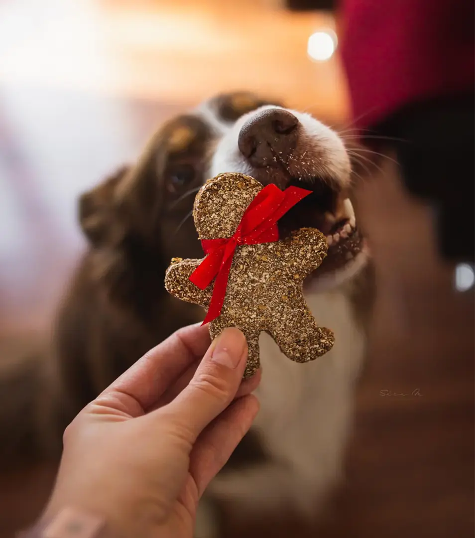 Vianočný Pán perníček