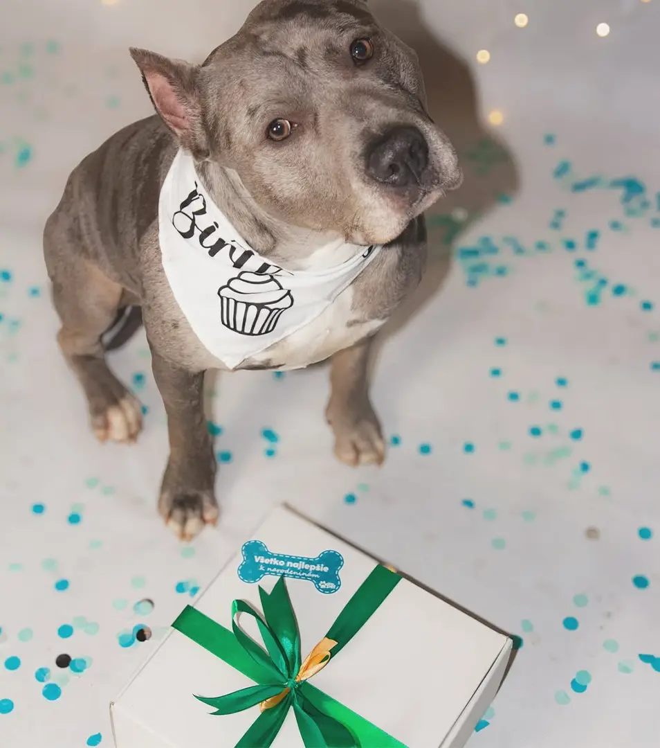 Narodeninový balíček M