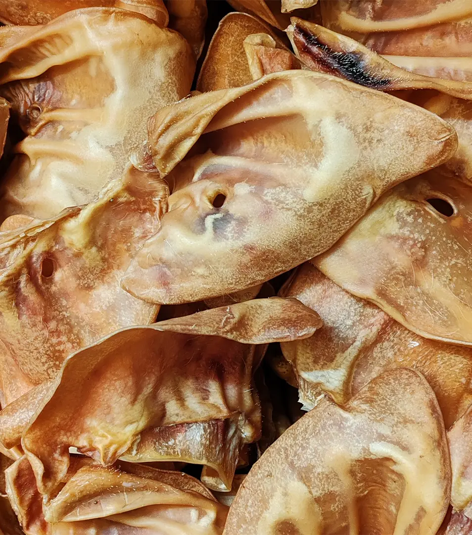 Bravčové ucho 20 ks