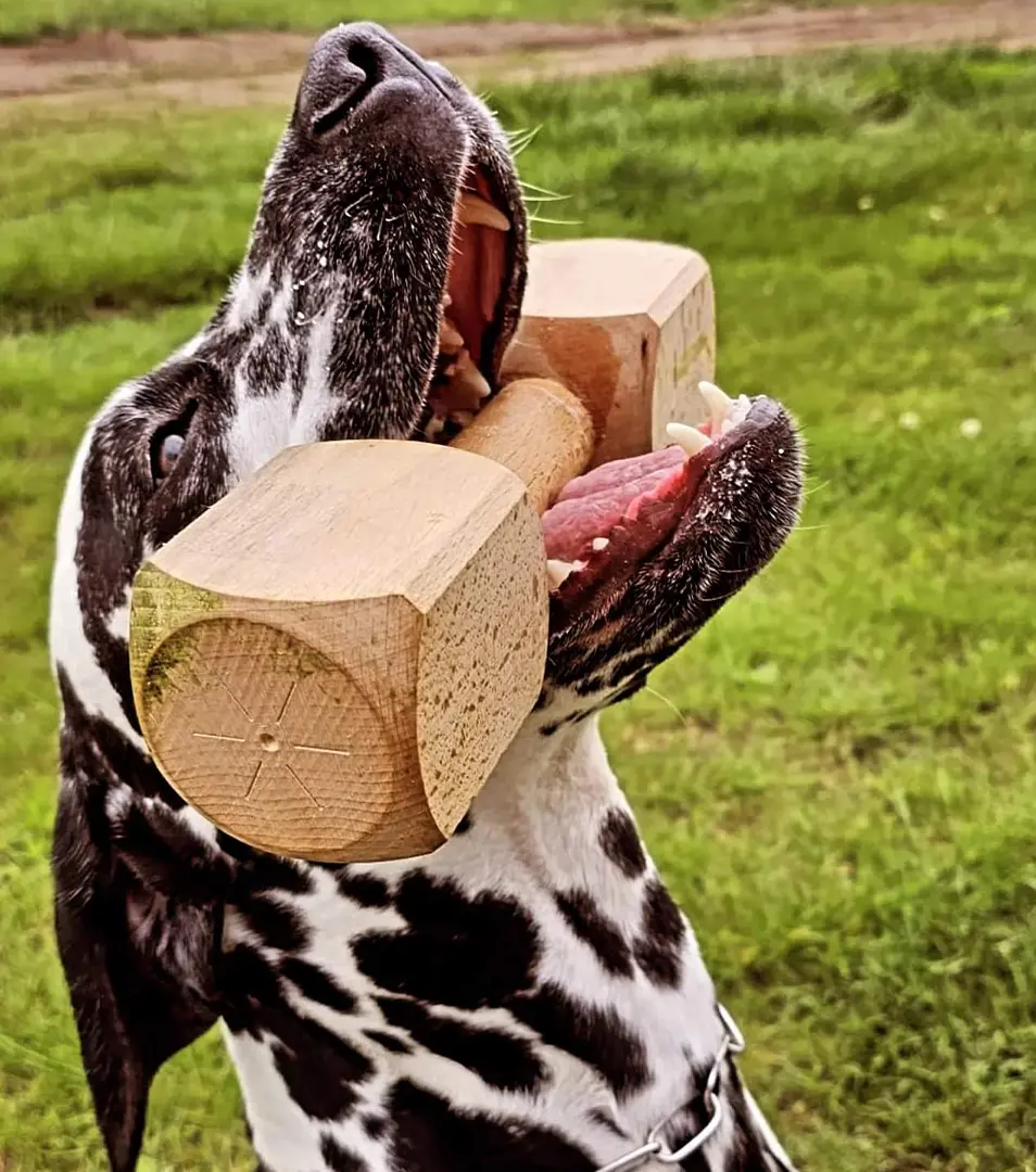 BAFPET Aportovacia činka, drevená Farba: Prírodná, Rozmer: 1000g 09064