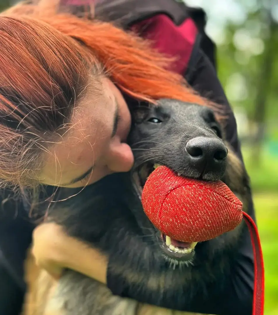 BAFPET Balónik RINGO Farba: Červená, Rozmer: 80mm x 80mm x 110mm 09046