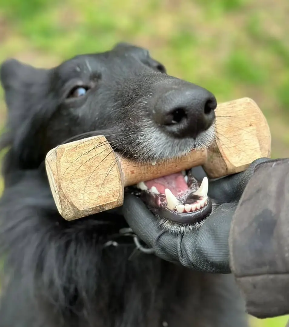 BAFPET Aportovacia činka, drevená Farba: Prírodná, Rozmer: 250g 09061