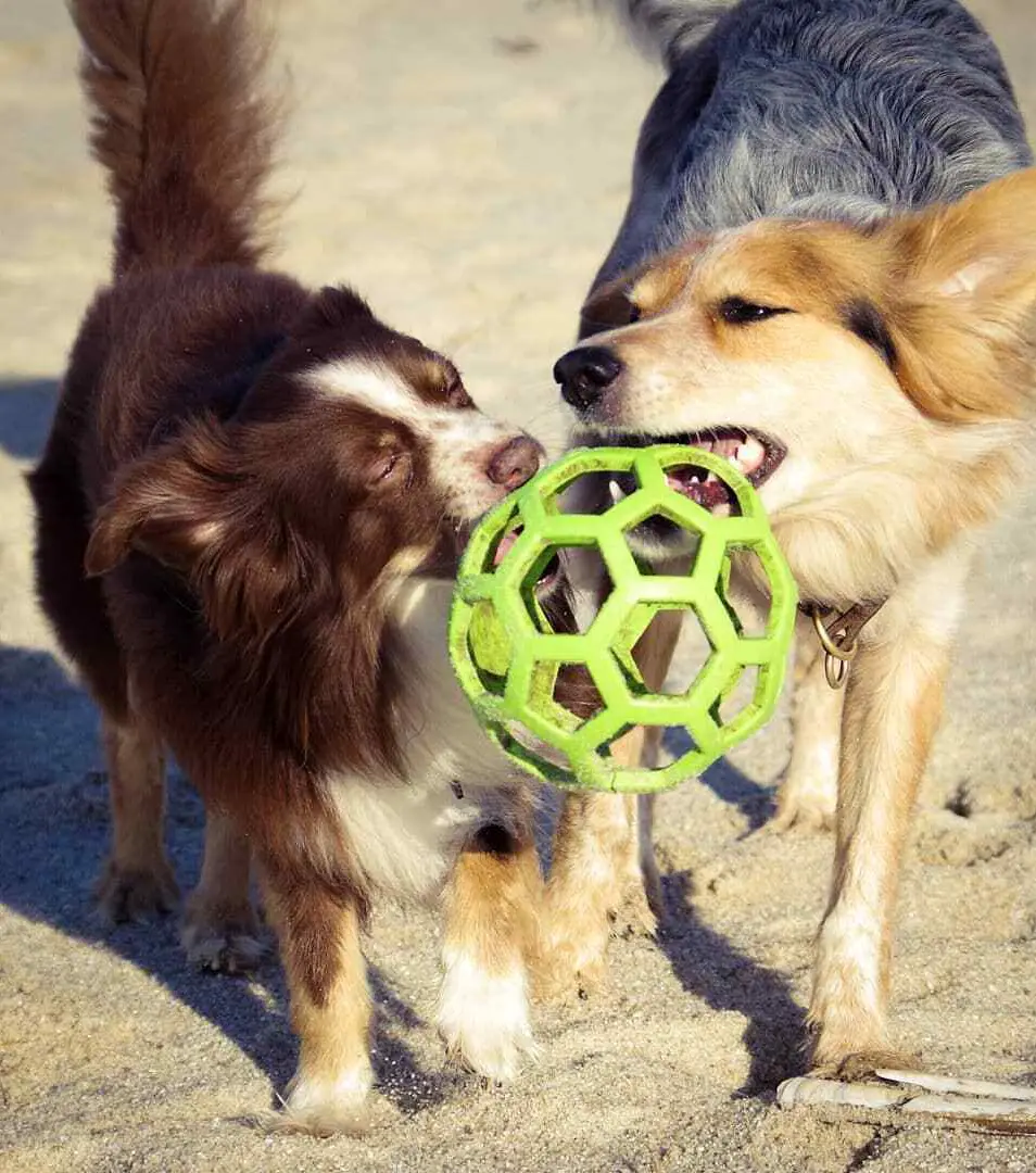 Lopta JW HOL-EE Roller JUMBO priemer 19 cm, mix farieb