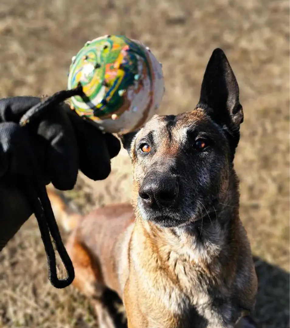 BAFPET Gumená loptička, Priemer: 7 cm | 09042