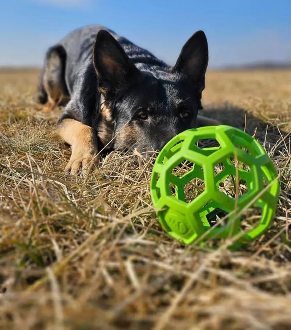 Lopta JW HOL-EE Roller MINI priemer 5 cm, mix farieb