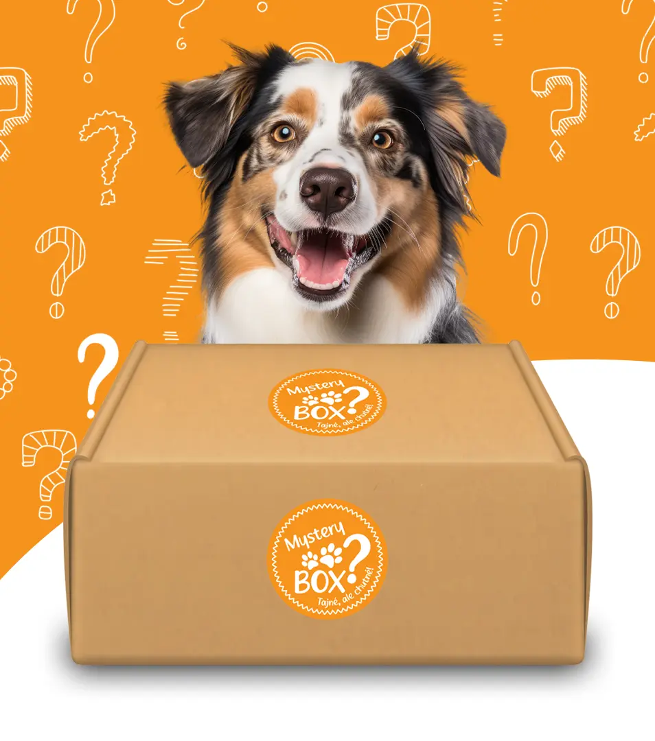 MYSTERY BOX plný dobrôt L