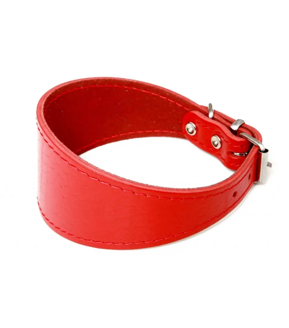 BAFPET Kožený obojok pre chrty, hladký Farba: Červená, Rozmer: 60mm x 47cm /36-44/ | 00121