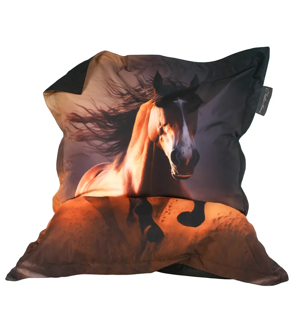 Detský sedací vak POTLAČ 130 x 100 cm 009