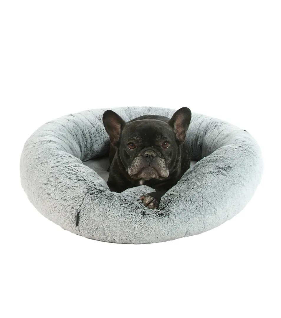 Pelech Royal 40 cm hnedá