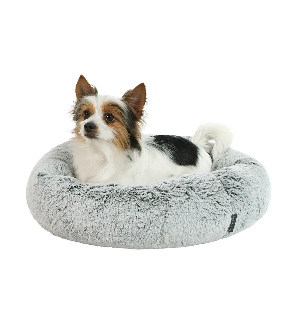 Pelech Royal 60 cm hnedá