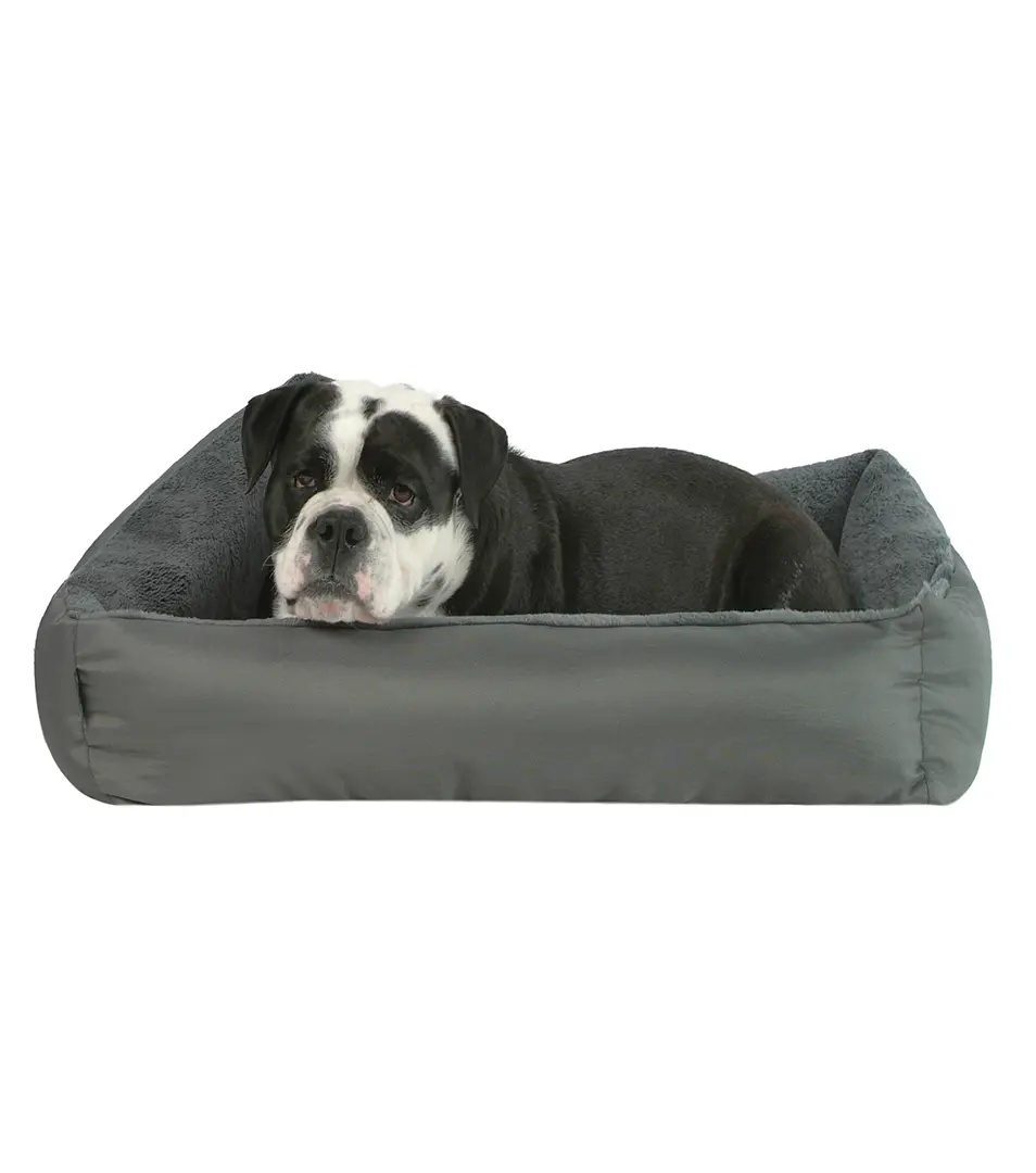 Pelech Couch Economy 55x80 cm D119