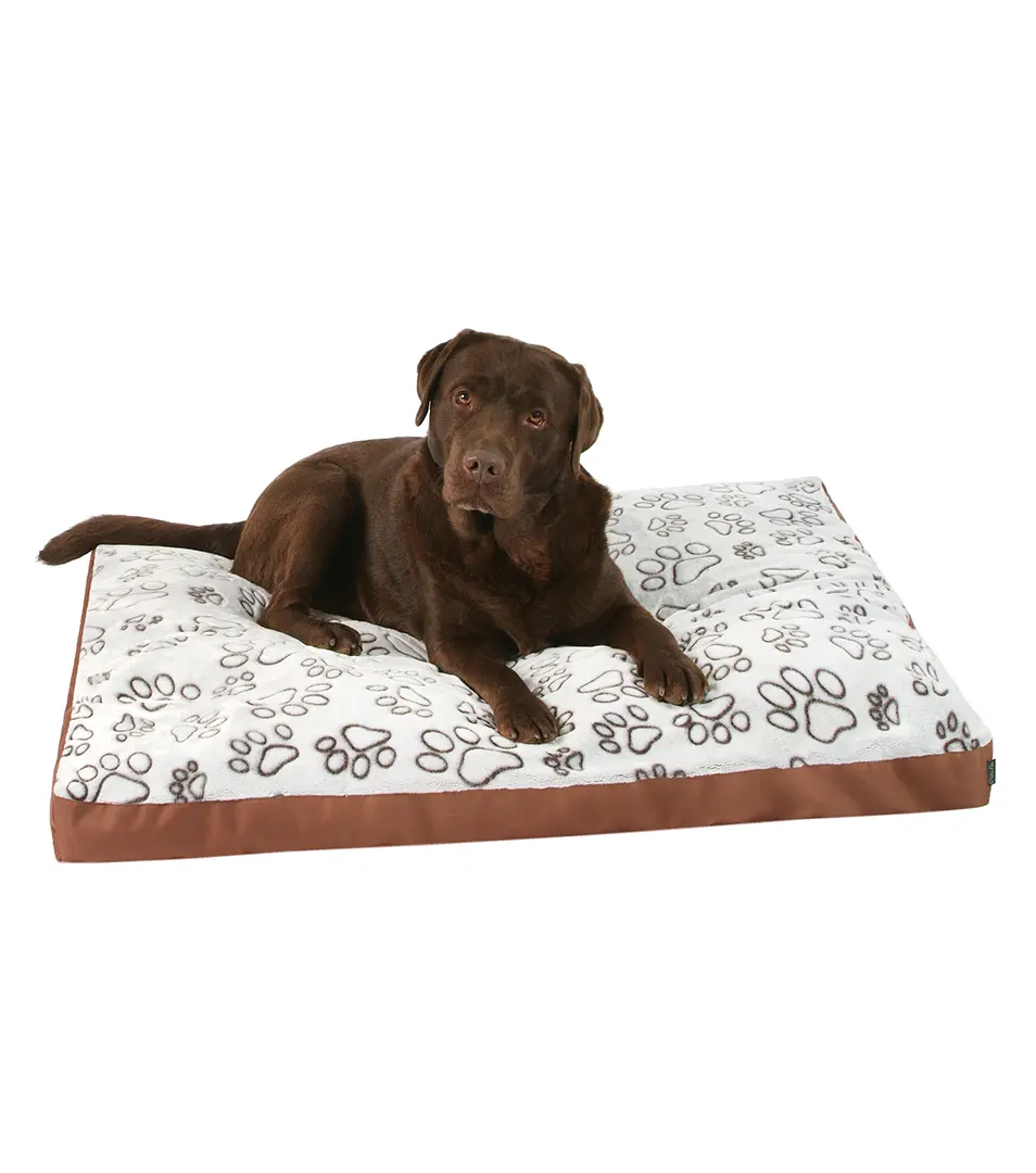 Matrac pre psa Trendy 100x70 cm