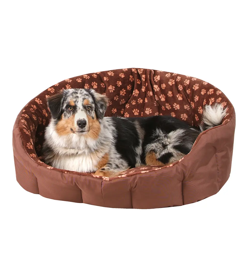 Pelech Casper Trendy limitovaná edícia 110 cm