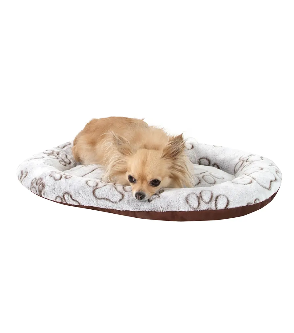 Poduška Trendy 60 x 40 cm