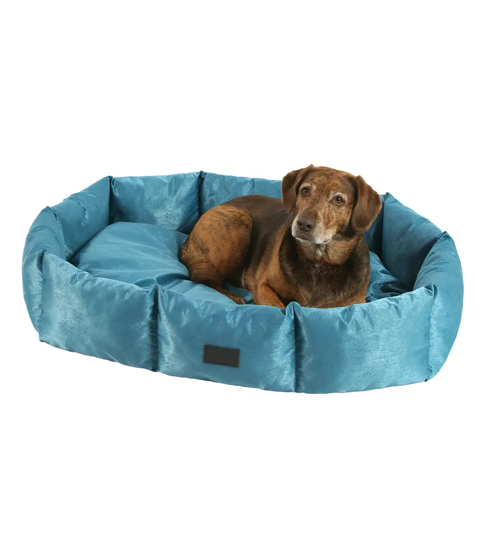 Pelech Platinum 70 cm zelená