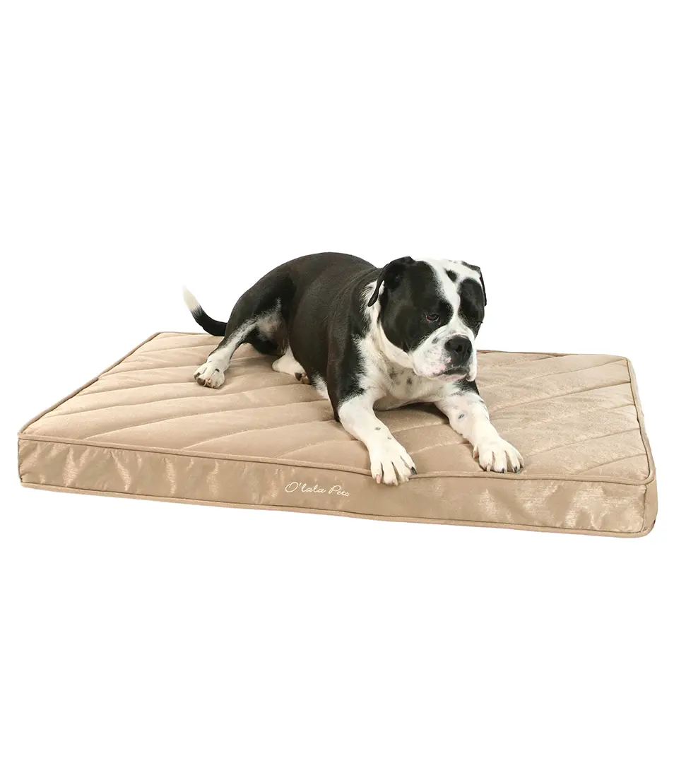 Ortopedická matrac Platinum 80x120 cm zelená