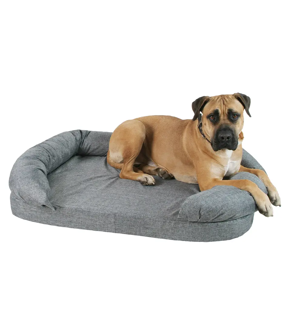 Pelech Fantastic Elegance 67 x 55 cm D96