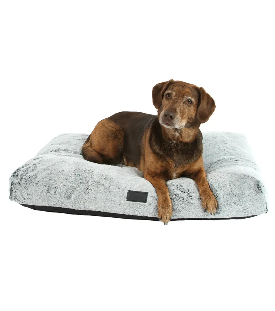 Matrac pre psa Royal 120x85 cm hnedá