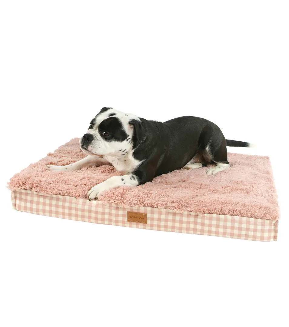 Ortopedická matrac Domino 55x80 cm hnedá