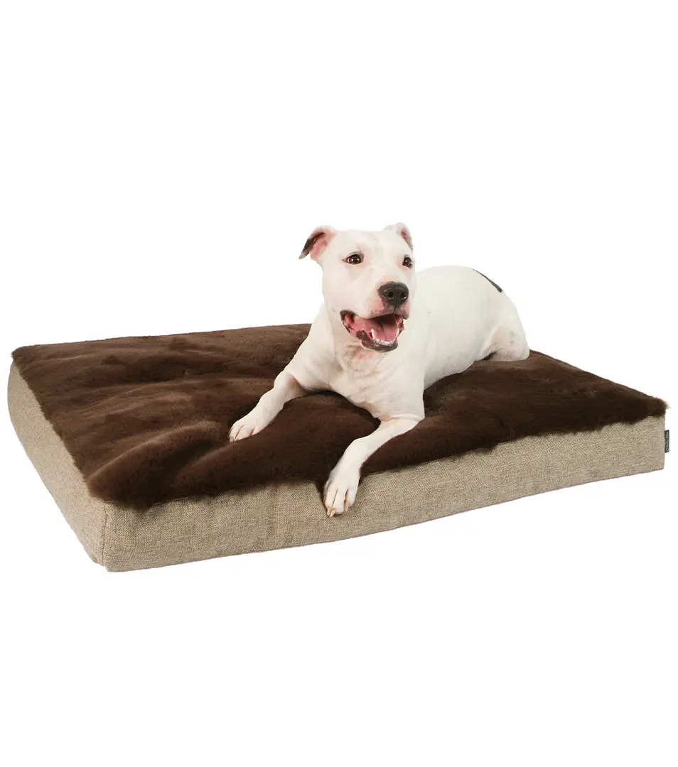 Matrac pre psa George 80x55 cm šedá