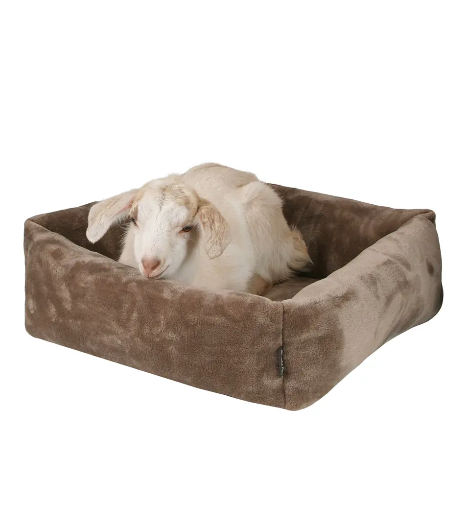 Pelech Cube 53x53 cm staroružová