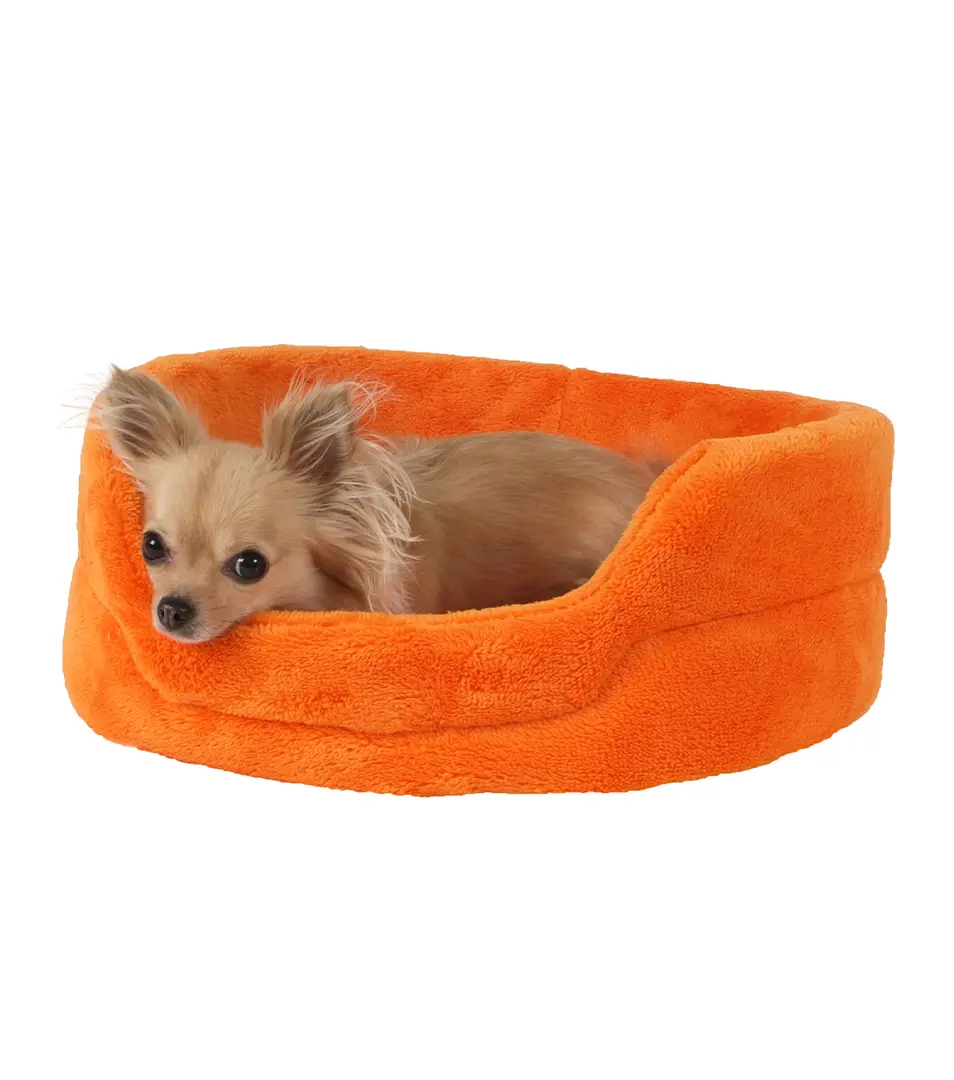 Pelech Agga 42 x 50 cm A26